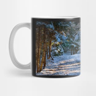 Hemlock Ravine Park 11 Mug